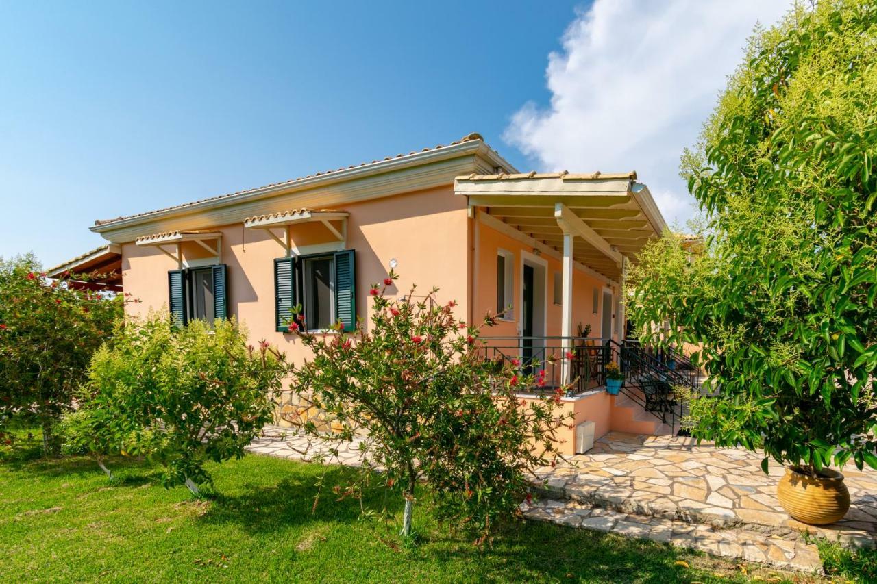 Evaggelia Studios *